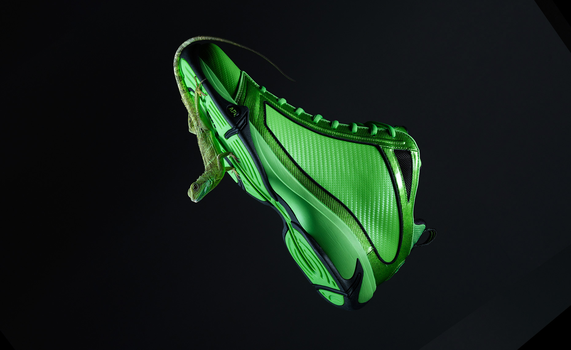 012-Shoe_lizard_v5